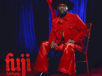 Adekunle Gold - Lailo