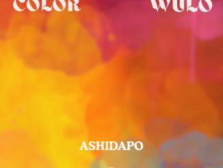 Ashidapo - Color