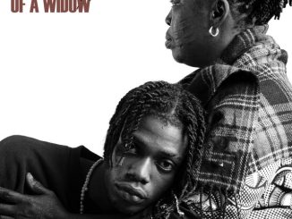 Ayox - Ashewo Boy ft. Tekno