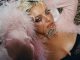 Bebe Rexha - One Day