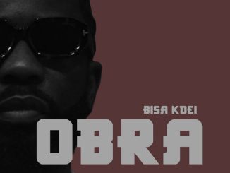 Bisa Kdei - Obra