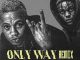 Cazulee - Only Way (Remix) ft. BhadBoi OML