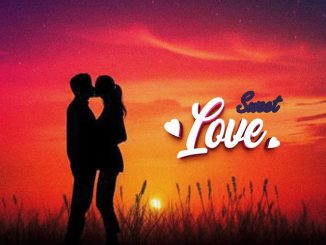 Coconut Rootz - My Sweet Love