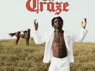 Dikoo - STF CRAZE