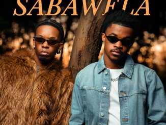 Empro - Sabawela ft. Danya Devs
