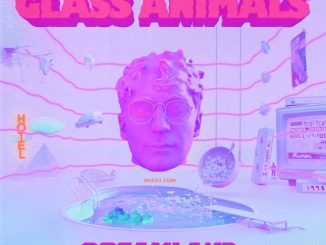 Glass Animals - Heat Waves