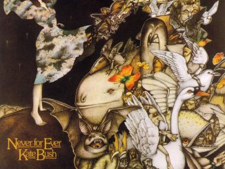 Kate Bush - Army Dreamers