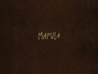 Marcus Harvey - Mapula
