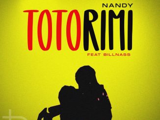 Nandy - Totorimi ft. Billnass