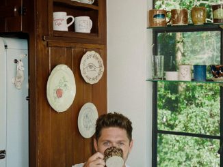 Niall Horan - Tastes So Good