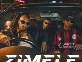 Optimist Music ZA - Zimele ft. Scotts Maphuma, Buddy Kay, 300it