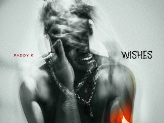 Paddy K - Wishes