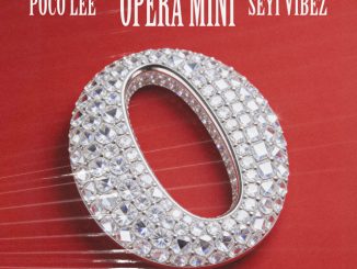 Poco Lee, Seyi Vibez - OPERA MINI