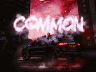 Pozer - Common