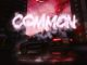 Pozer - Common