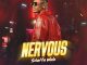 Shatta Wale - Nervous