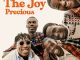 The Joy - Precious