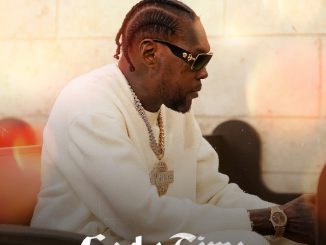 Vybz Kartel, Wizkid - Stay For The Night