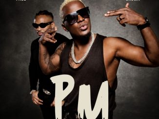 Willy Paul - PM ft. Otile Brown