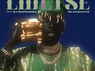 Xduppy, Angekebabuye Mc - Lwetse ft. DJ Maphorisa & Mluusician