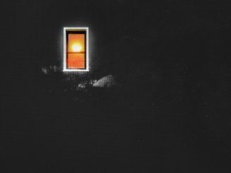 bees & honey, Al Xapo - daylight
