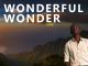 johGE - Wonderful Wonder