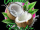 Coconut Rootz - My Everything