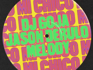 DJ Goja - Mi Chico (Jason Derulo x Melody Version)