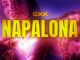 David Tango - Napalona ft. SxK
