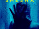 De Mthuda - Shesha ft. Njelic