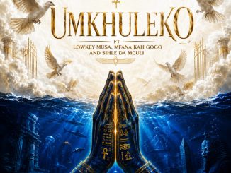 Drip Gogo - uMkhuleko ft. DrummeRTee924, Mfana Kah Gogo, Lowkey Musa, Sihle Da Mculi