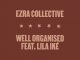 Ezra Collective - Well Organised ft. Lila Iké