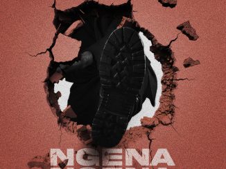 Fake'Well - Ngena Ngena ft. Uncool MC, Scotts Maphuma, Masterpiece YVK