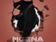 Fake'Well - Ngena Ngena ft. Uncool MC, Scotts Maphuma, Masterpiece YVK