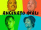 HBK Live Act, Cardinal X25 - Anginayo Imali