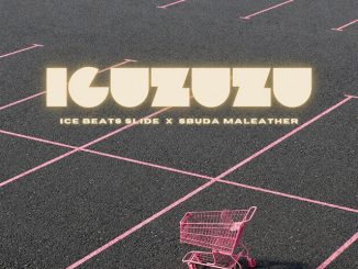 Ice Beats Slide - Iguzuzu ft. Sbuda Maleather