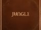 Jungle - Someday, Somewhere