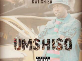 Kwiish SA - LiYoshona (Main Mix) ft. Njelic, MalumNator, De Mthuda