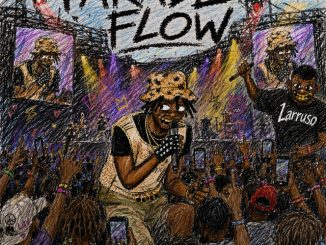 Larruso - Parade Flow