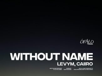 LevyM - Without Name ft. Caiiro