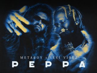 MetaBoy - Peppa ft. Seyi Vibez