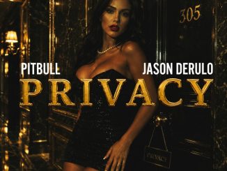 Pitbull - Privacy ft. Jason Derulo