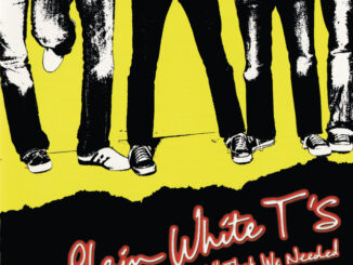 Plain White T's - Hey There Delilah