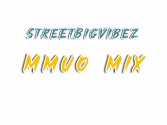 STREETBIGVIBEZ - Mmuo Mix