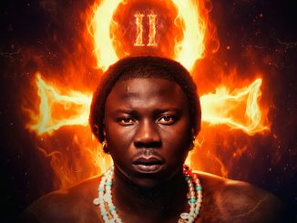 Stonebwoy - Many Times