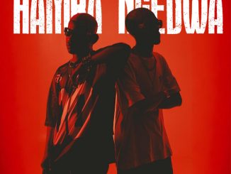 TitoM, Yuppe, Ceehle - Hamba Ngedwa ft. JayJayy