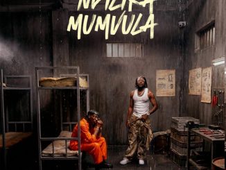 Zeze Kingston - Ndilira Mumvula ft. Yo Maps, Harrycane, Leumas