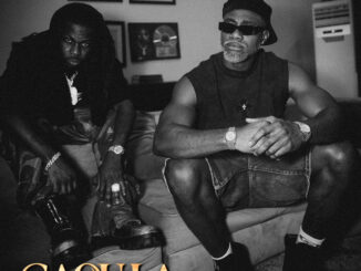 Didi B - Gaou la ft. 6uff