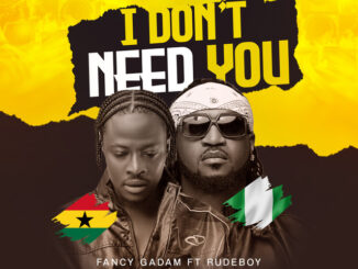 Fancy Gadam - I Don't Need You ft. Rudeboy