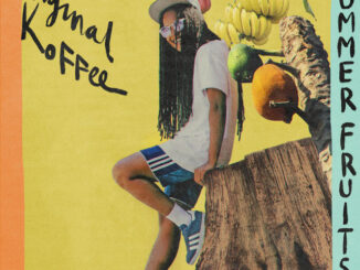 Original Koffee - SUMMER FRUITS (NA NA)
